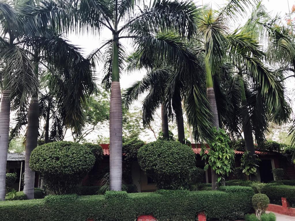 Hotel Sheela, 100M From Taj Mahal Agra  Kültér fotó